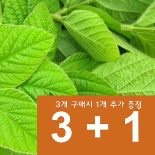 자연담은 건강한 햇콩잎*4개(3+1증정행사)